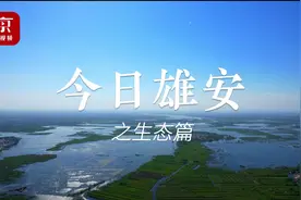 #航拍环游今日雄安  ！从白洋淀美景看雄安生态变化视频封面