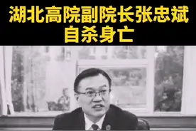 湖北高院副院长张忠斌自杀身亡 #湖北 @抖音短视频视频封面