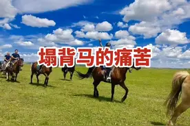 年轻未调驯成熟的马，骑乘一定要有度，要以调驯为主视频封面