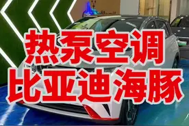 比亚迪海豚价格贵的原因#汽车人共创计划 @抖音汽车视频封面
