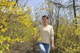 #天水 #人间四月天 #连翘视频封面