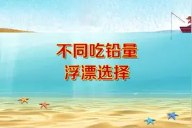 不同吃铅量的浮漂选择，及灵活运用方法#调漂技巧 #钓鱼技巧视频封面