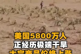 #美洲干旱冲击全球粮食主产区 #美国5800万人正经历极端干旱#美国 视频封面