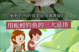 用蚯蚓钓鱼的“3大忌讳 ”上鱼多就看你用对方法没有？ #钓鱼技巧  #野钓  #户外野钓 视频封面