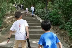 深圳莲花山公园，从山脚到山顶只需要20分钟，很轻松的一段。视频封面