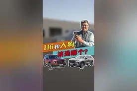 1.5T买H6，2.0T买带后锁的大狗，你觉得怎么样？#我的花样车生活 #dou是好车 @抖音汽车视频封面