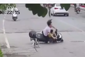 10月20日，广西贵港交警公布视频，宠物犬横穿马路致骑车人摔倒，因未牵狗绳，狗主人负全责视频封面
