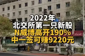 2022年北交所第一只新股，N威博高开190%，中一签可赚9220元视频封面