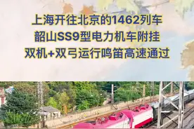 #vlog #高铁 #绿皮火车 #火车 #铁路 魔都上海开往首都的1462次列车，双机韶山SS9外号烧酒电力机车双弓运行，司机友好鸣笛高速通过视频封面