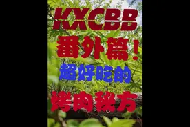 夏季烤肉秘诀。相信好多人会惊讶的 #夏天 #vlog日常