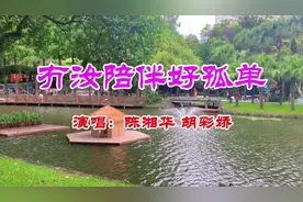 冇你陪伴好孤单。曲谱165页！