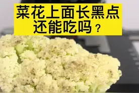 菜花上的小黑点放大，还能吃吗？#显微镜 #健康科普 #万万没想到 #食品安全