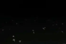 夜间的海鸥随着大船飞行！ #那些最美的瞬间