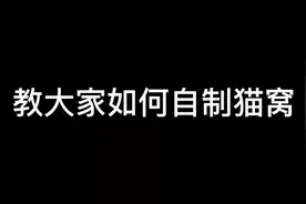 很简单的猫窝制作，有纸箱和带袖子卫衣就可以，快动起来吧视频封面
