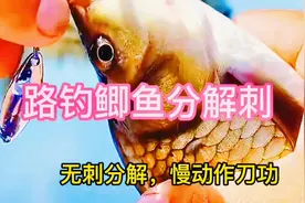 鲫鱼无刺分解，不只是会钓鱼还的会吃鱼，看刀功学手法刚出教程视频封面