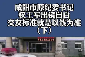 咸阳市原纪委书记权王军出镜自白：交友标准就是以钱为准#常态化 #扫黑 视频封面