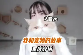 我和我的宠物们的小故事～重庆篇！#我的宠物视频封面