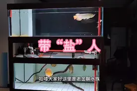 来，有能耐的给讲讲吧，既然盐能杀菌，是不是也杀硝化细菌视频封面