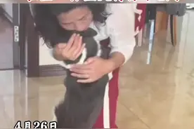 狗狗时隔一个月再见到主人，趴在主人怀里哭得像个孩子@萌宠大宝 视频封面