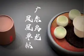 请你，担负起对自己的责任来，不单是活着就算了视频封面
