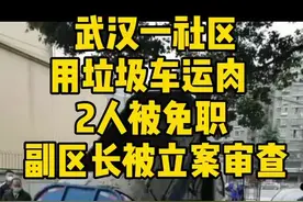 武汉一社区用垃圾车运肉  2人被免职 副区长被立案审查