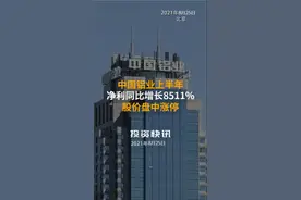 #中国铝业上半年净利同比增长8511%，股价盘中涨停#大涨 #半年报 视频封面