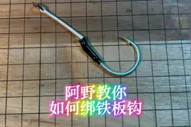 阿野教你如何绑铁板钩（单钩） #海钓 #路亚 #铁板钩 #绑钩视频封面
