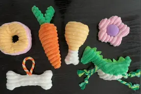 宠物玩具diy缝制教程，狗子太废玩具？自制狗狗玩具，简单又可爱