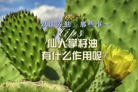 仙人掌籽油有哪些作用呢？#以油养肤 #护肤成分 #知识科普视频封面