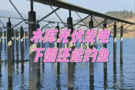 水库#光伏发电，下面还能#钓鱼； 500亩水库装机25兆瓦视频封面