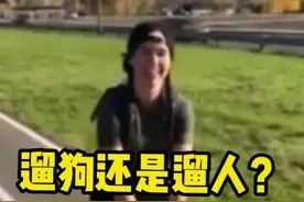 俄罗斯女孩让哈士奇拉着自己在街上飞快地滑轮滑#哈士奇 #遛狗 #滑轮 #绝技 #表演 #战斗民族 #萌宠视频封面