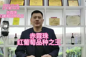 赤霞珠，葡萄品种之王#葡萄酒 #企业家视频封面