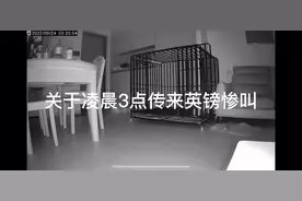 关于凌晨三点突然传来了狗😅😅惨叫#监控下的一幕 #傻狗的日常视频封面