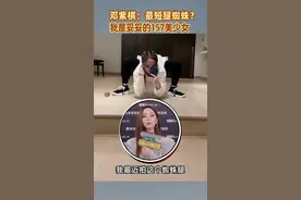 邓紫棋笑言网友调侃最短腿蜘蛛，我是妥妥的157美少女。#邓紫棋视频封面