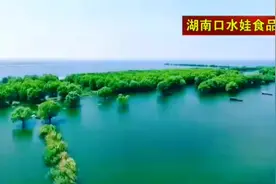 湖南口水娃食品有限公司成立于2012年视频封面