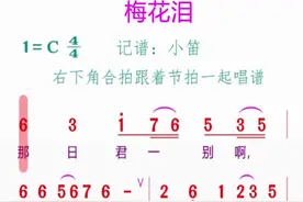 简谱《梅花泪》跟着节拍一起唱谱练习！#简谱 #简谱视唱 #梅花泪 #视唱视频封面