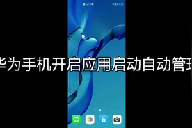 华为手机开启应用启动自动管理#华为手机 #玩机技巧