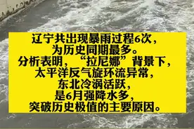 刚刚，#苏家屯、#浑南 发布#暴雨橙色预警！#辽宁 6月降水量突破历史……视频封面
