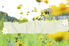 遵义市中医院，您的花园式医院🏥#健康养生 #遵义市