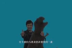 研究发现，我们的牙釉质从恐龙时代起，几乎没改进过视频封面