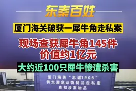 厦门海关破获特大犀牛角走私案 共计145块、总重250公斤视频封面