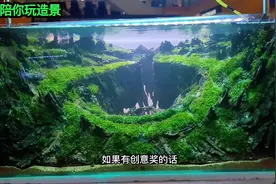神仙打架的造景比赛，分享优秀作品，我也复刻一下#水草缸视频封面