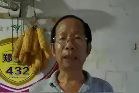 水稻病虫害防治