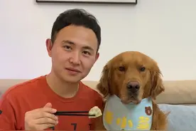 狗子真是神了！偷吃了主人的饺子，最后竟用一招偷天换日，逃过一劫～#天猫正当红 #萌宠出道计划视频封面