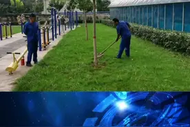 小区前几年栽的树大部分都碗口粗了 这几个树就是长不旺 新来的园艺师找到原因了 栽树时捆树根的绳子没剪断视频封面