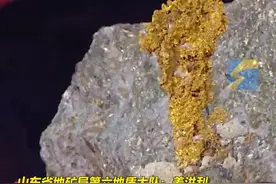 全国找金最多的地质队！山东省地矿局第六地质大队成立60多年，累计探获黄金储量2810余吨！相当于全国近7亿女性人手一枚4克金戒指#山东dou知道视频封面