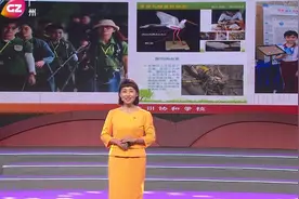 2023年感动广州的#最美教师 | 陈哲：科学启迪智慧，实践培育英才视频封面