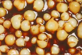 糖醋团葱2斤红糖、白醋、陈醋各150克冰糖50克，生抽100克盐巴50克，水400克视频封面