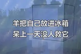 #我的世界 来尝尝速冻羊肉的味道！快快把指令分享给你的小伙伴吧~@抖音短视频