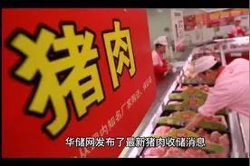2022年第八批中央储备冻猪肉收储成交0.03万吨 流标率99视频封面